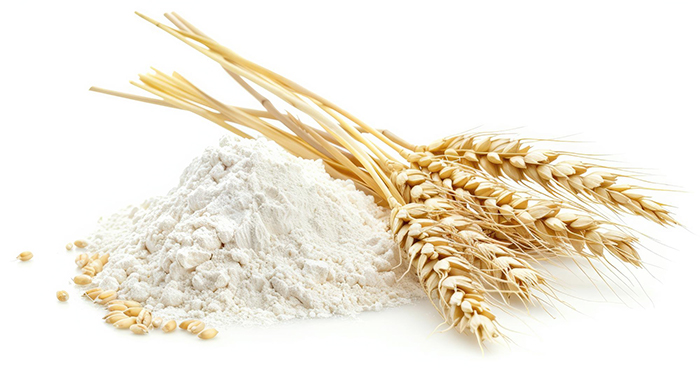 سویق جو برای لاغری